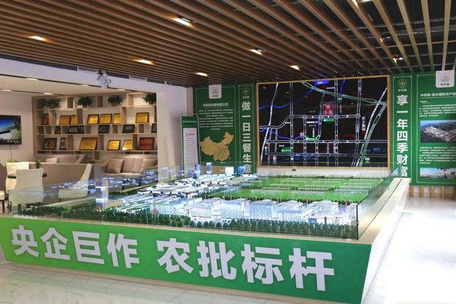 加速丰富5G-A产品体系！政策“组合拳”让硬核科技走进生活